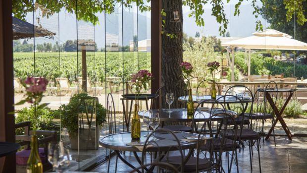 Viu Manent - Image 2